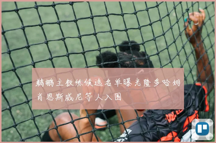 鹈鹕主教练候选名单曝光隆多哈姆肖恩斯威尼等人入围