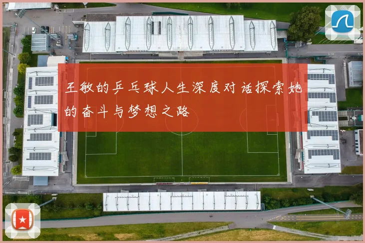王敏的乒乓球人生深度对话探索她的奋斗与梦想之路